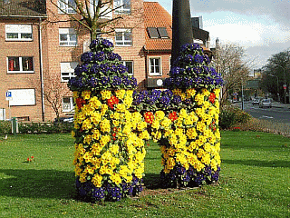 Impressionen von D�lmen