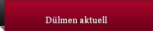 D�lmen aktuell