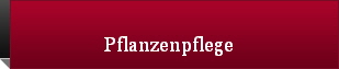 Pflanzenpflege